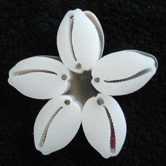 cowrie